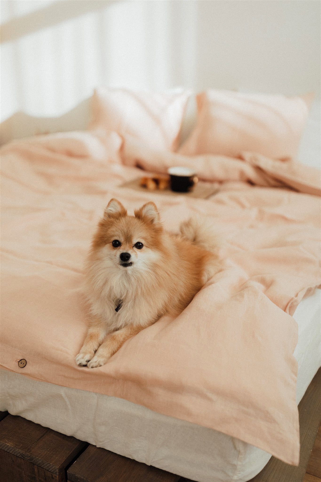 Linen Duvet Cover 2